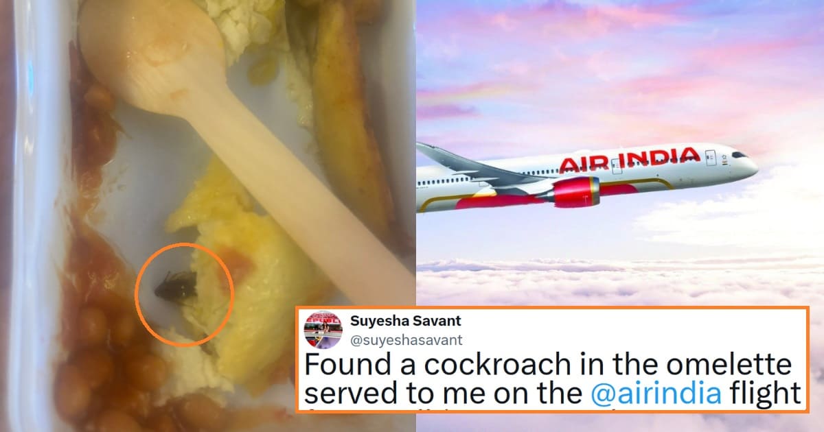 Air-India-Responds-After-Passenger-Finds-Cockroach-In-Food-indian-news